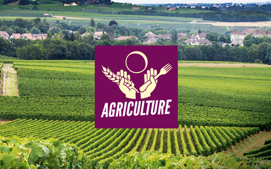 Programme agriculture: Pour favoriser les circuits courts afin de garantir une agriculture de proximité!