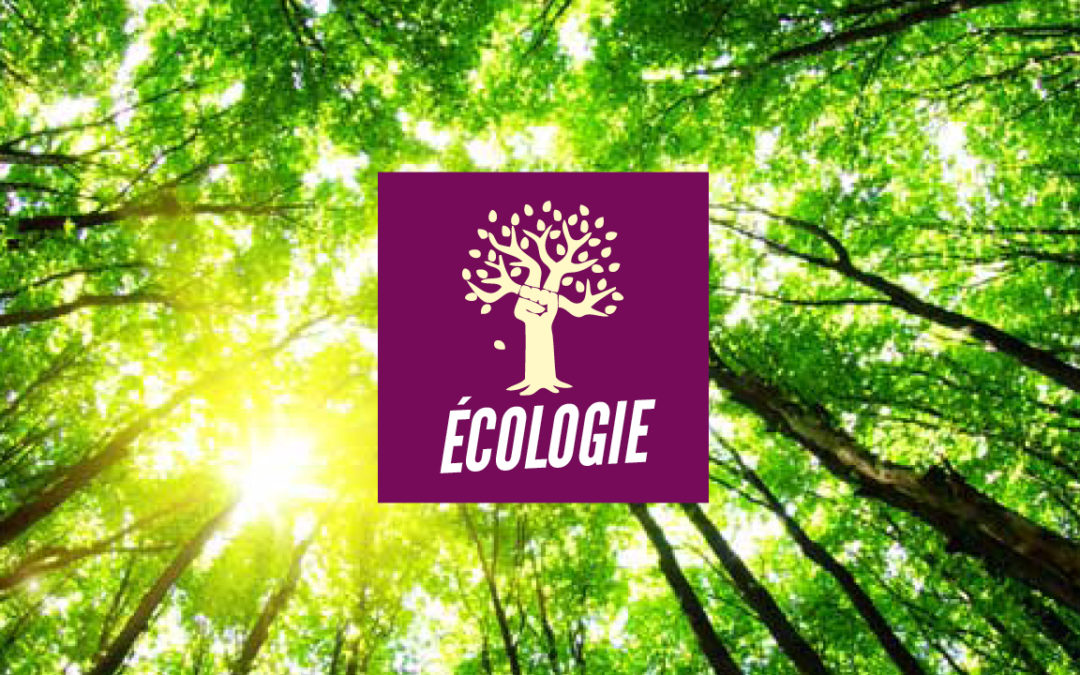 Programme écologie: Des mesures locales pour un effet global